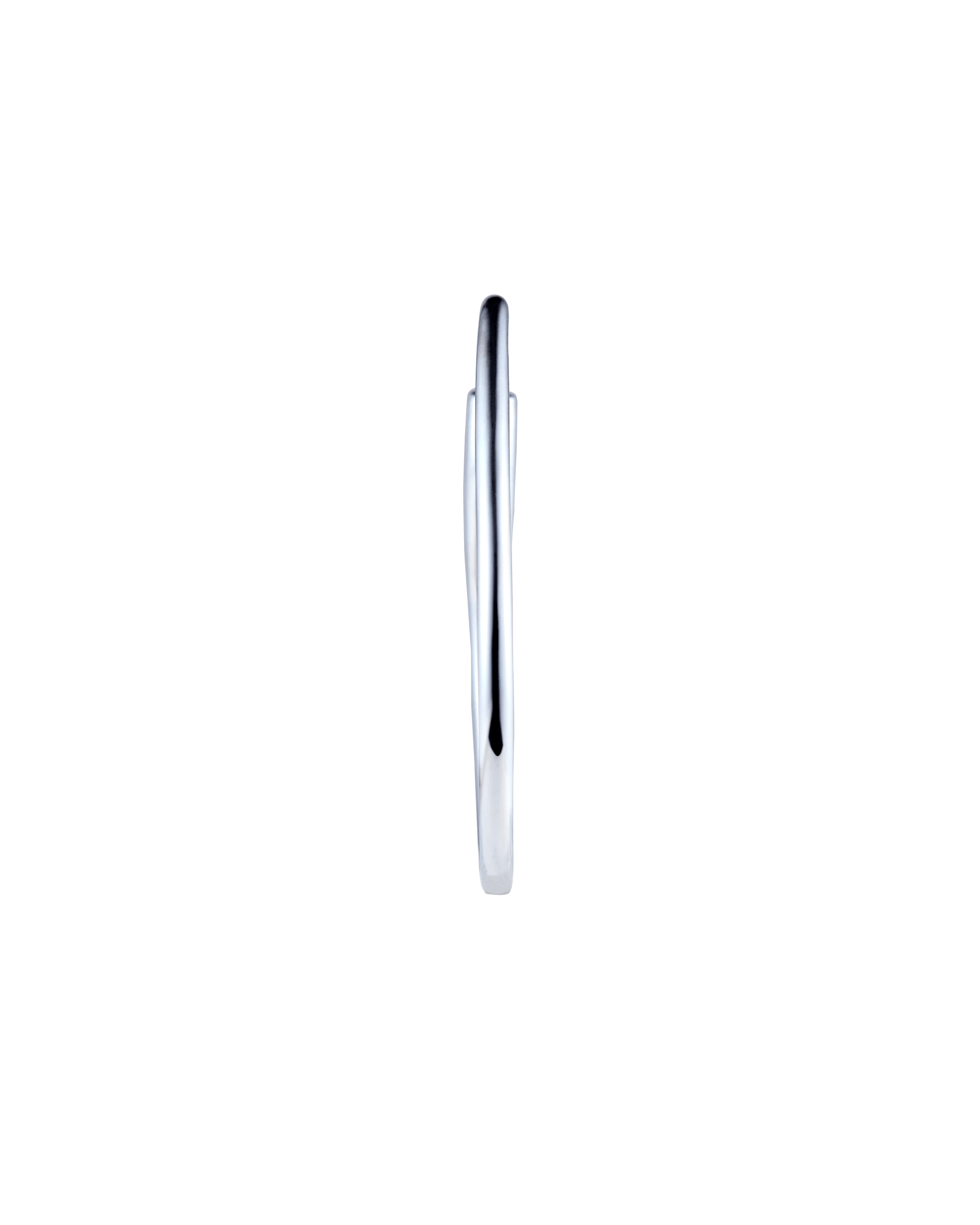Flower Stalk Pierces L -Silver-