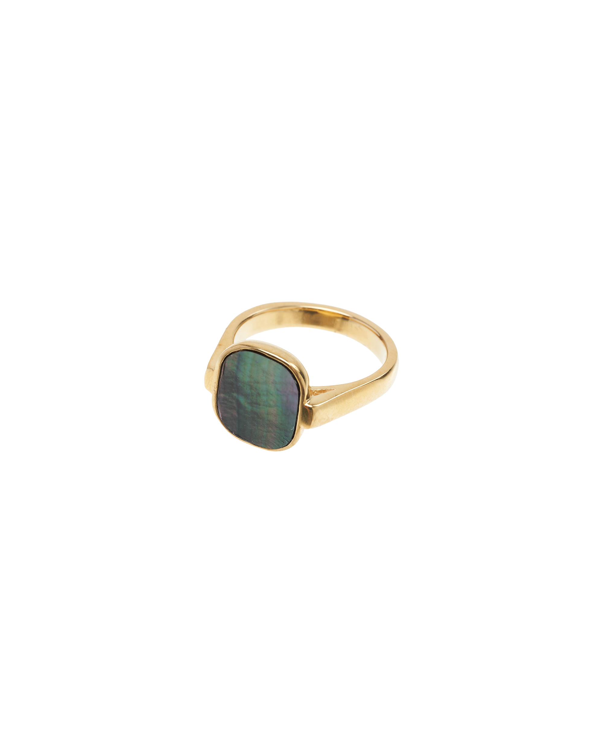 Shell Window Ring -Gold-
