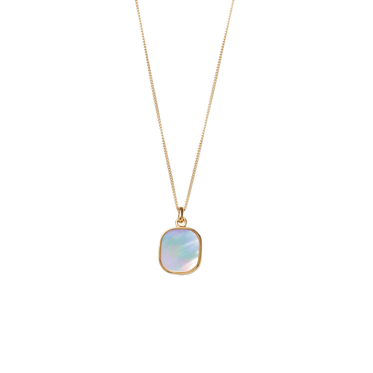 White Shell Window Necklace -Gold-