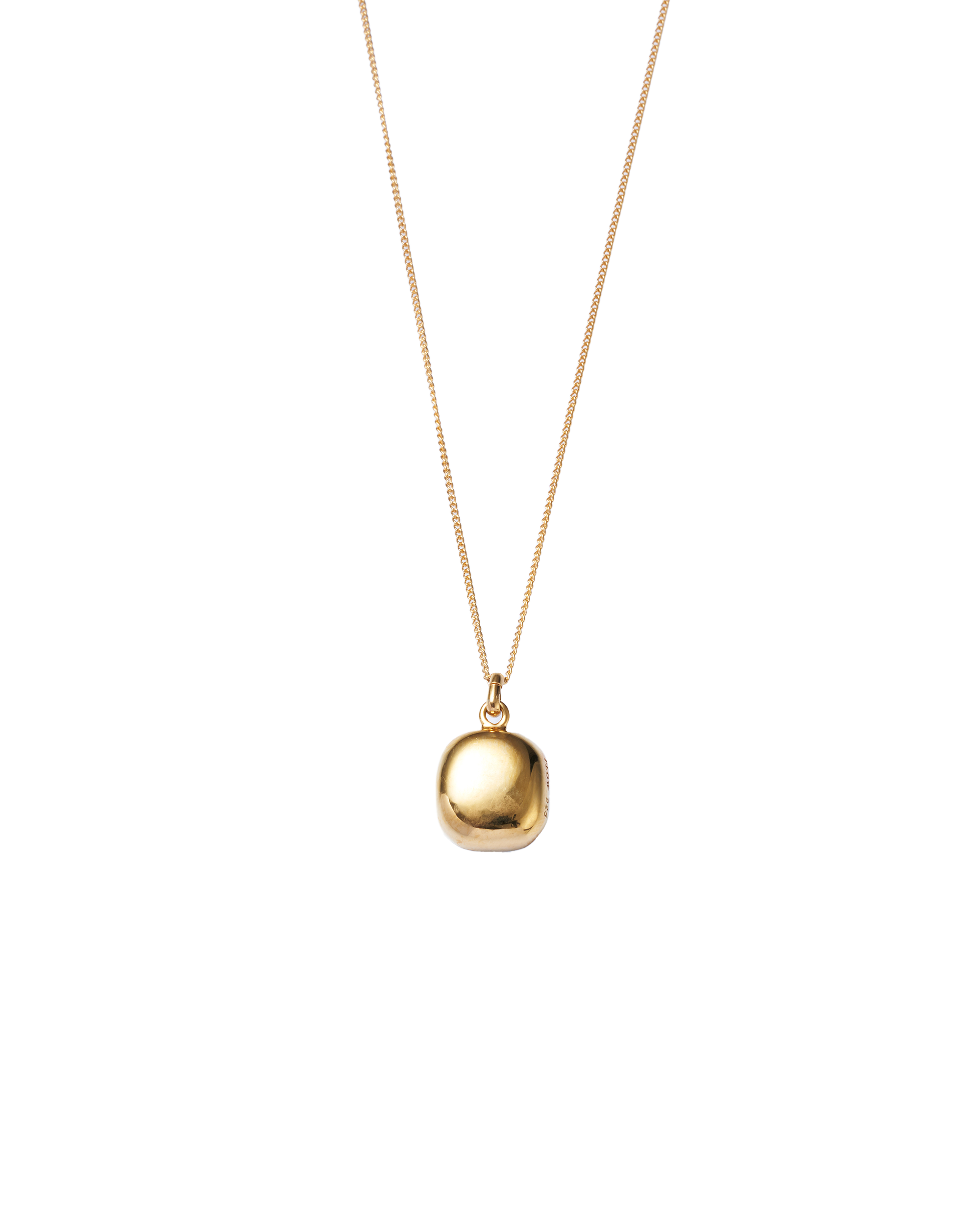 Black Shell Window Necklace -Gold-
