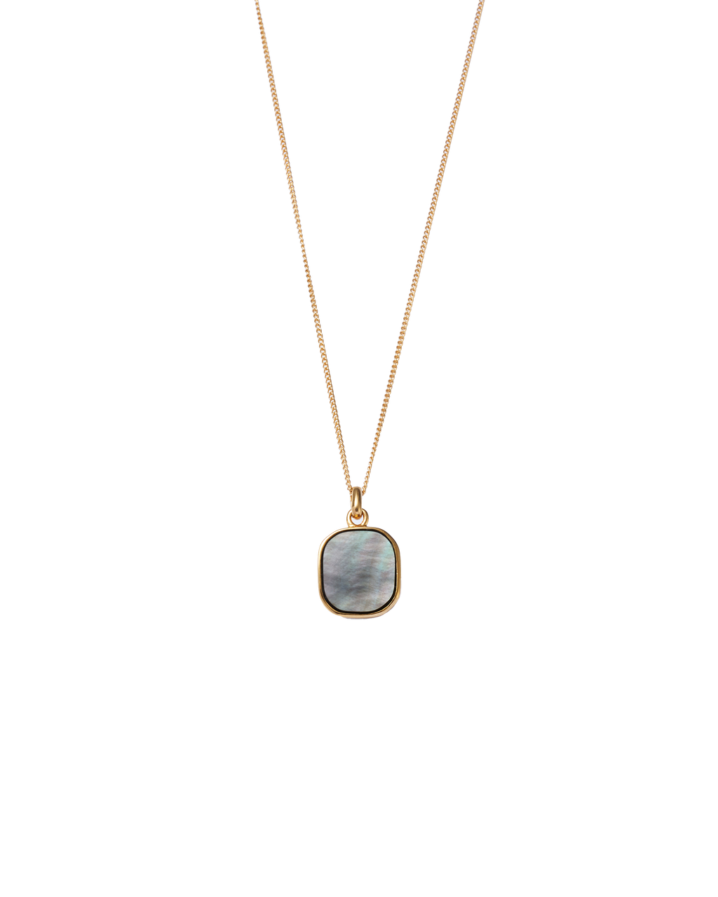Black Shell Window Necklace -Gold-
