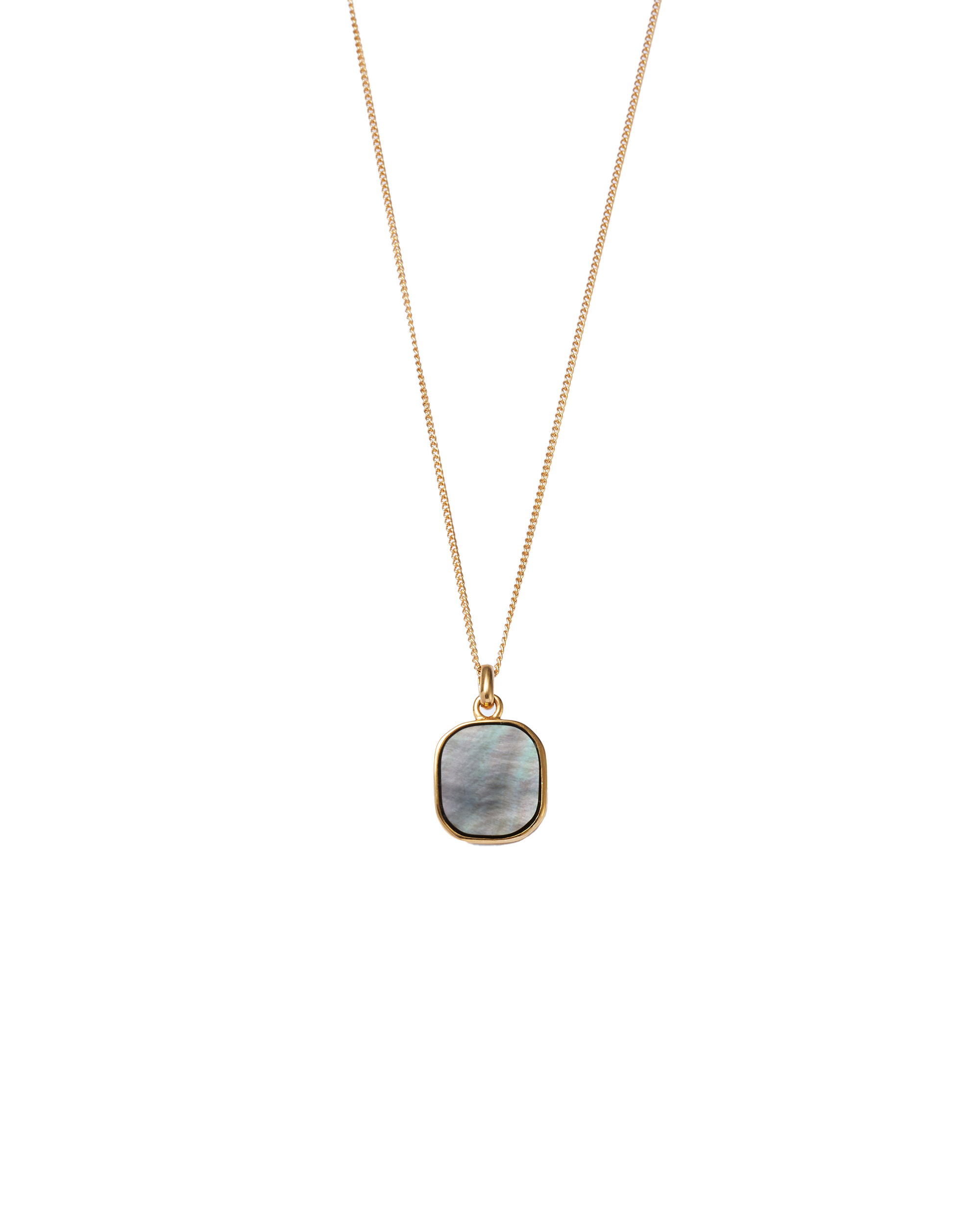 Black Shell Window Necklace -Gold-